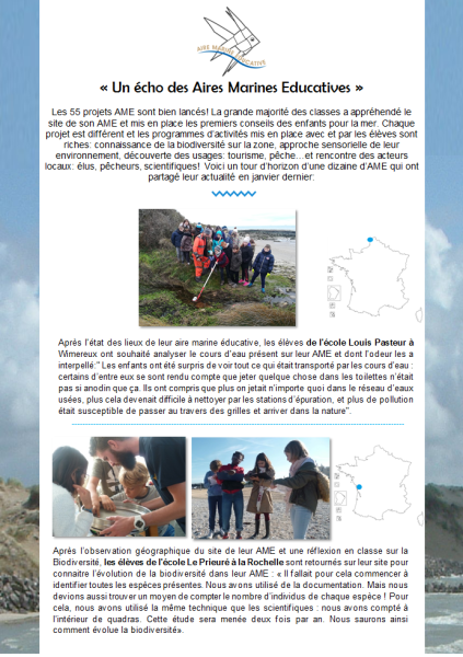 der_p1.png der_p1.png