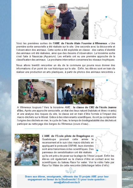 der_p_4.png der_p_4.png