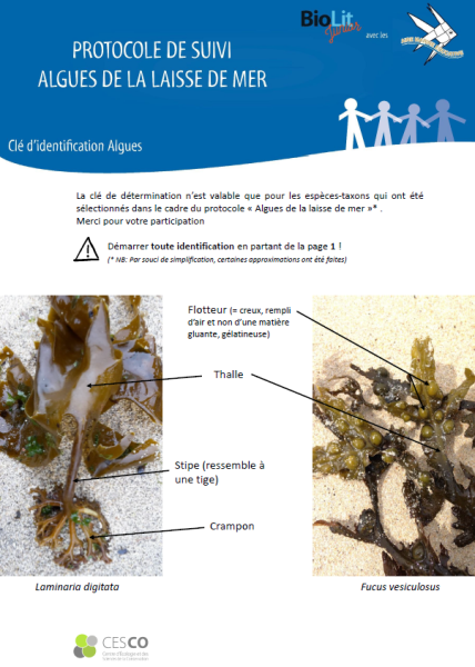 plage_vivante.png plage_vivante.png