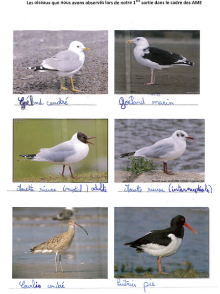 sortie-saint-valery.png sortie-saint-valery.png