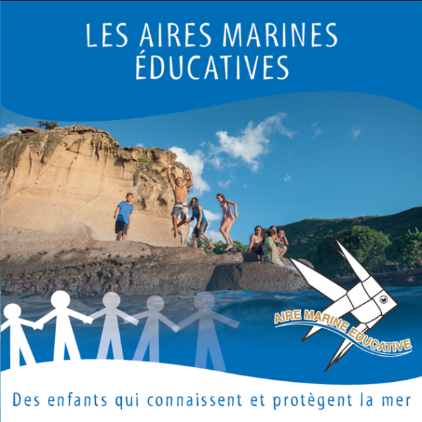 ame_com_.png ame_com_.png