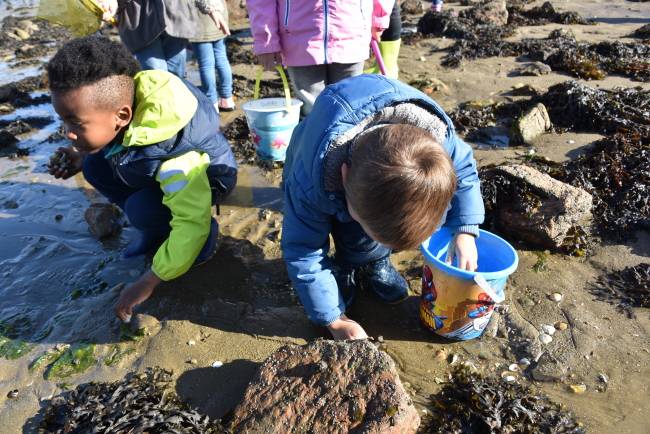 ame-forestou ame-forestou