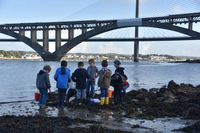 crédit photo: Yann Souche / Agence française pour la biodiversité crédit photo: Yann Souche / Agence française pour la biodiversité