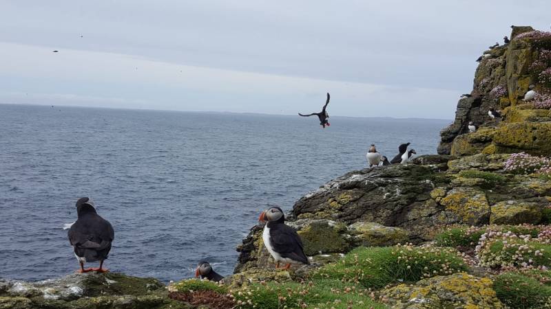 hebrides-16518.jpg hebrides-16518.jpg