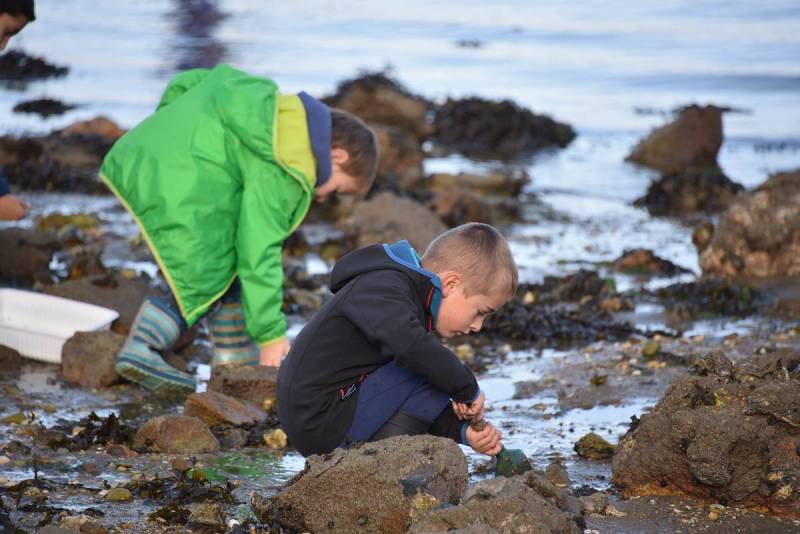 sortie pêche ame forestou crédit Yann Souche sortie pêche ame forestou crédit Yann Souche