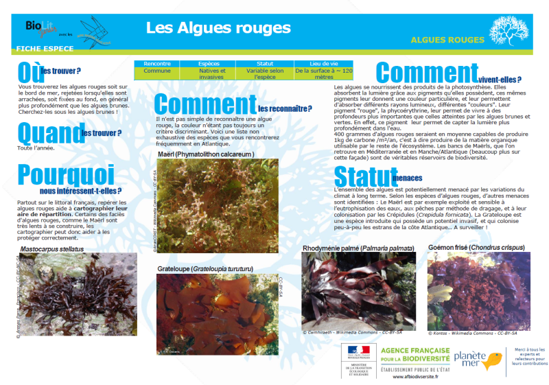 fiche_especes.png fiche_especes.png